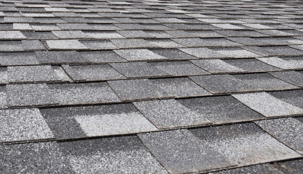 Shingled Roof